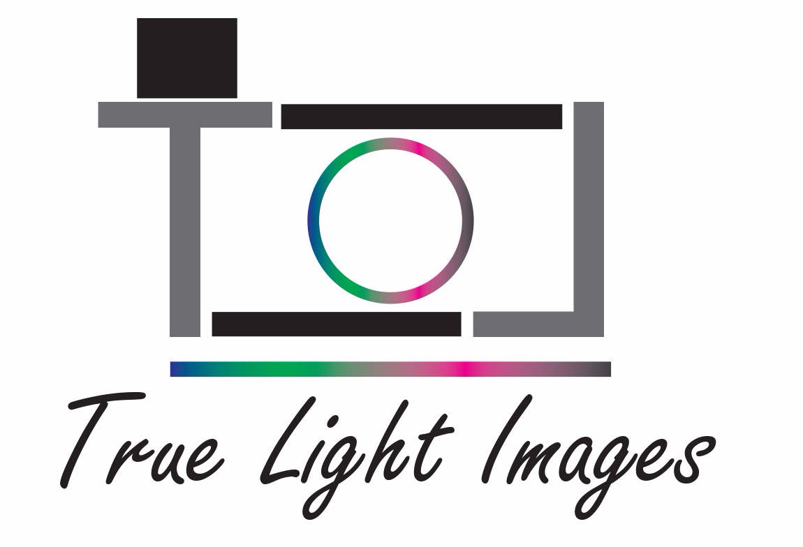 Updated “Digtal Portfolio”